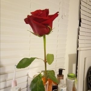 Meet your Posher, Tiffani